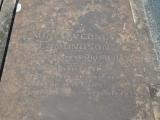 image of grave number 929871